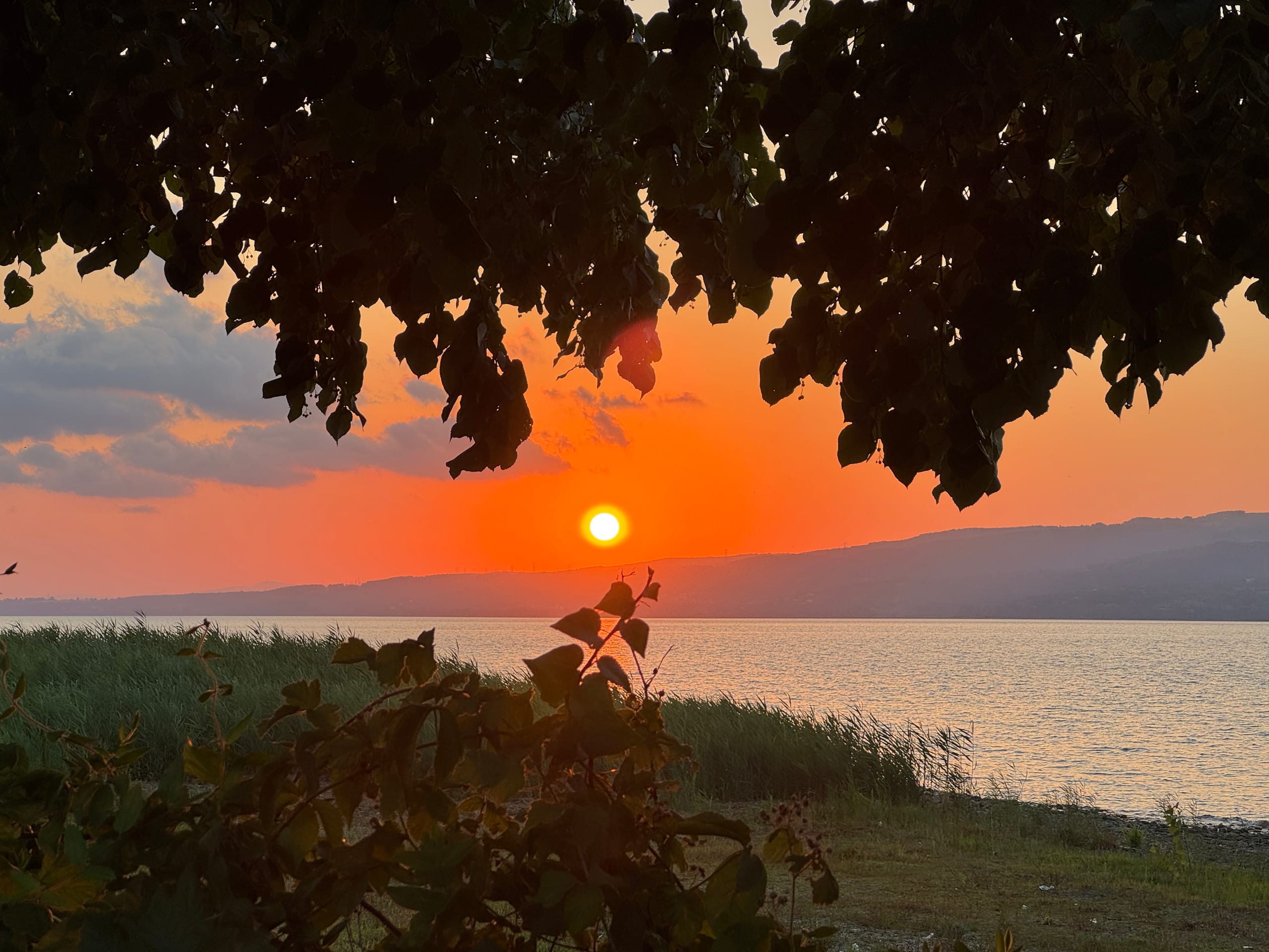 Gün