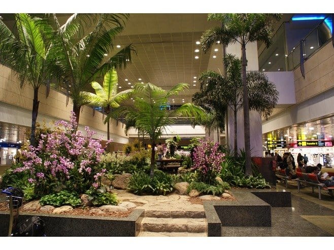 Singapur Gezi Notlar 1 - Changi Airport