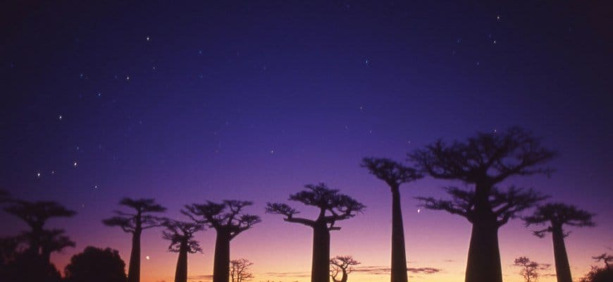 Madagaskar Notları 1 - Dolunay